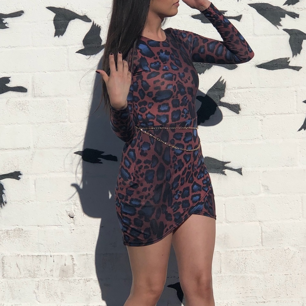 Brown and Blue leopard dress